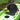 Islander Calypso Sport Kayak inc Paddle & Seat (Collection Only) - Viking Marine