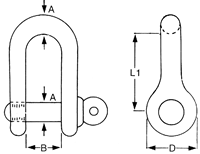 Proboat Standard Stainless Steel Dee Shackles