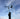 Little Hawk Race Podium Edition Wind Indicator - Viking Marine